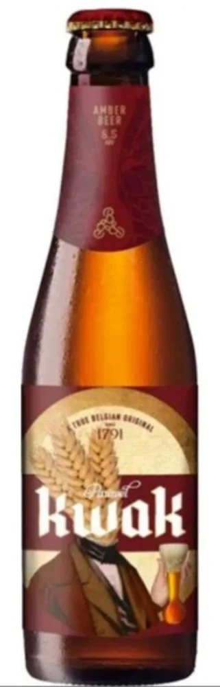 Pivo Belgian Strong Ale Pauwel Kwak STK 0,33 l
